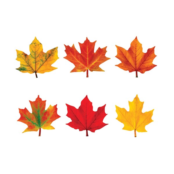 Maple Leaves Mini Accents Variety Pack, 36 Pieces, PK6